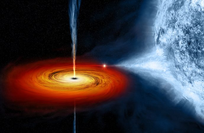 Do Stars Vanish Into a Black Hole or Crash Against a Surface? A New Test Answers