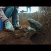 Plain of Jars Mystery