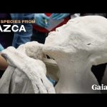 SPECIAL REPORT: UNEARTHING NAZCA