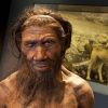Some Neanderthals were vegetarians who used natural forms of penicillin and aspirin as medicine