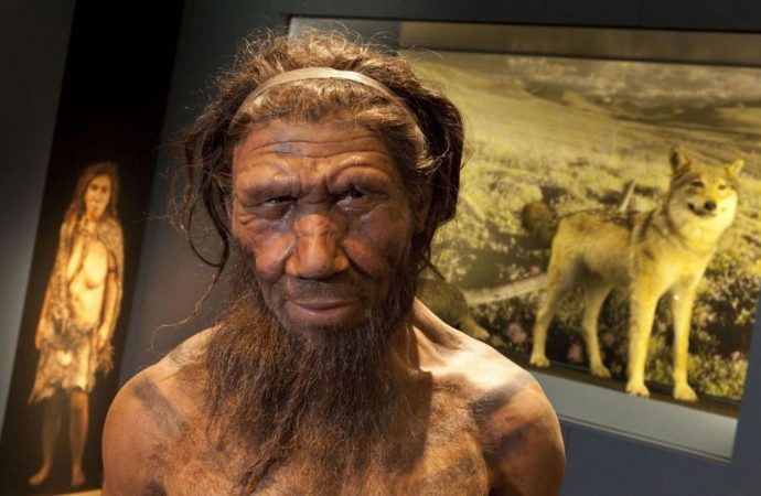 Some Neanderthals were vegetarians who used natural forms of penicillin and aspirin as medicine