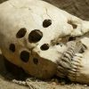 A Collection Of The Strangest Skulls Ever Discovered