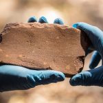 Australian dig finds evidence of Aboriginal habitation up to 80,000 years ago