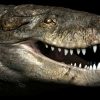 Distant cousin of crocodile was 24ft long, had teeth like T-Rex and stood on its hind legs