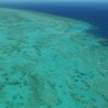 Great Barrier Reef: Unesco opts against ‘in danger’ status