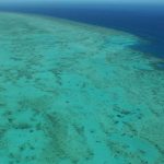 Great Barrier Reef: Unesco opts against ‘in danger’ status