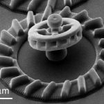 Micromotors are powered by bacteria, controlled by light