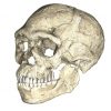 Oldest Homo sapiens fossils discovered