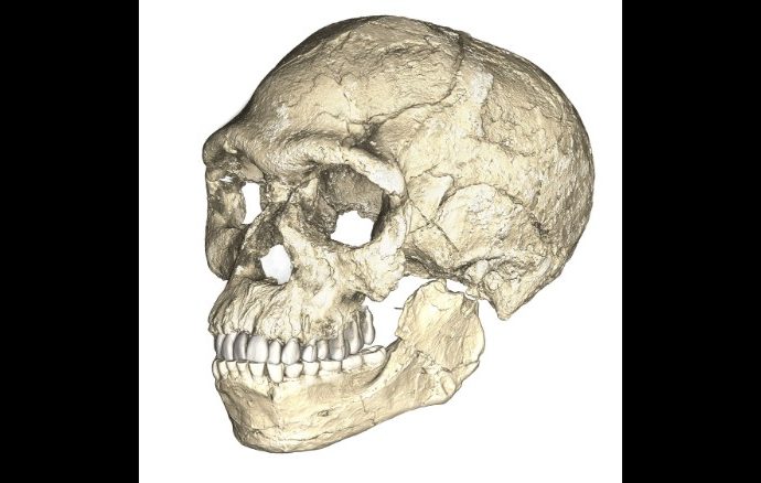 Oldest Homo sapiens fossils discovered