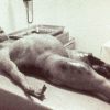 Roswell conspiracy theory ‘expert’ claims UFO crash DID happen… and says a leaked US government document she’s seen proves it