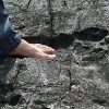 The Giant Footprint of Pingyan: Giant Made or Man Made?