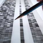 The Human Genome Was Never Completely Sequenced