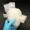 This 3D-Printed Human Heart Can Do Everything a Real One Can
