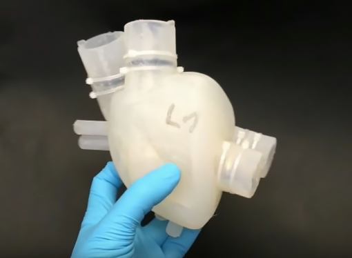 This 3D-Printed Human Heart Can Do Everything a Real One Can