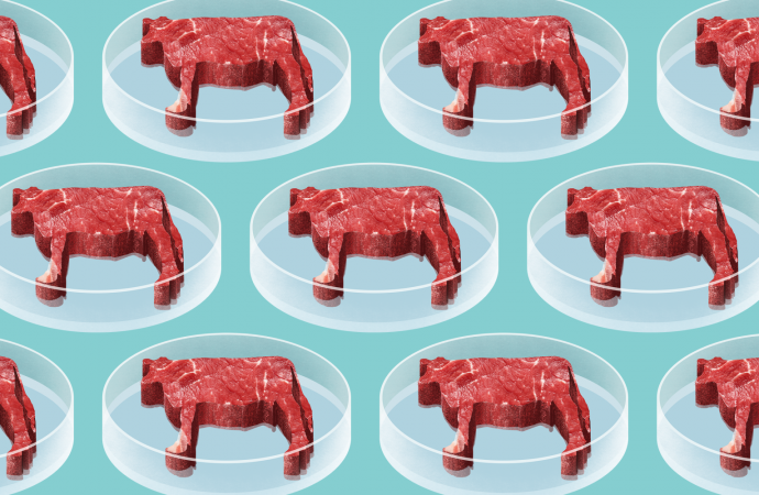 Behind the Hype of ‘Lab-Grown’ Meat