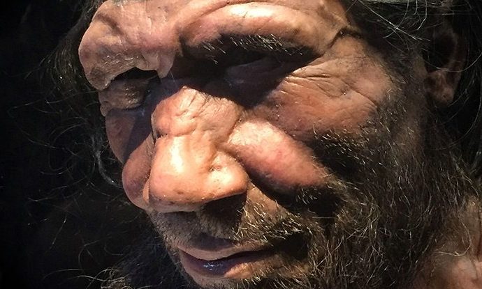 New DNA From a Neanderthal Bone Holds Evidence of a Lost Tribe of Humans