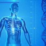 Only 10-25% of Human Genome is Functional, New Estimate Says