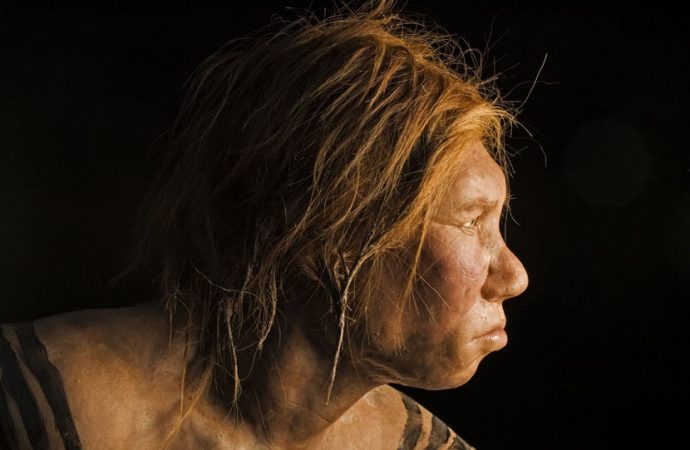 Why Am I Neanderthal?