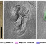 Controversial footprint discovery suggests human-like creatures may have roamed Crete nearly 6m years ago