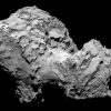 Does the organic material of comets predate our solar system?