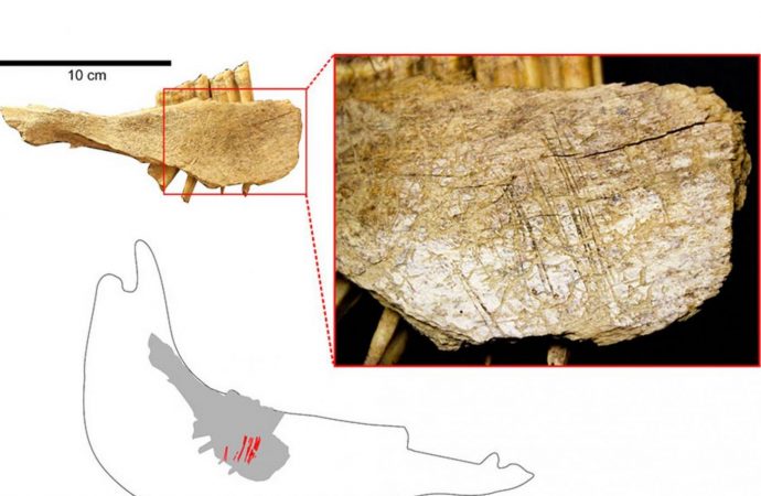 Humans arrived in North America ‘10,000 years earlier than thought’