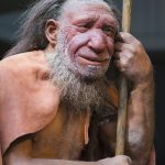 Lifting the veil from Neanderthal technology
