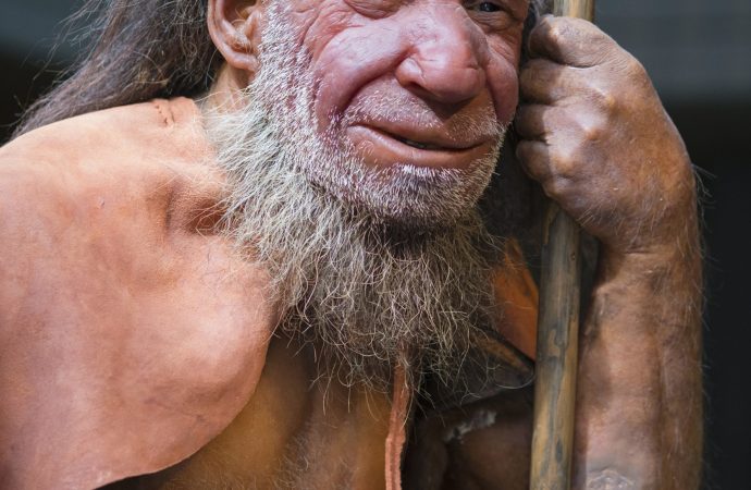 Lifting the veil from Neanderthal technology