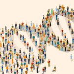 Natural Selection is Still Happening in Modern Human Populations, Major Genetic Study Finds