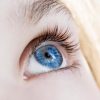 Blue-eyed humans have a single, common ancestor