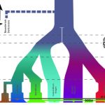 DNA from old skeleton suggests humanity’s been here longer than we thought