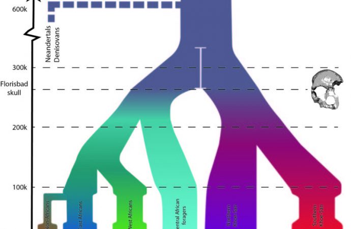 DNA from old skeleton suggests humanity’s been here longer than we thought