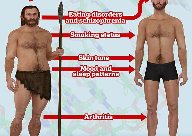 Feeling grumpy? Blame Neanderthals! DNA inherited from our ancient cousins can drive our smoking habits, mood swings and sleeping patterns