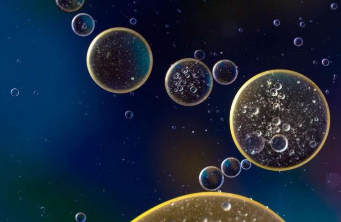 No magic wand required: Scientists propose way to turn any cell into any other cell type