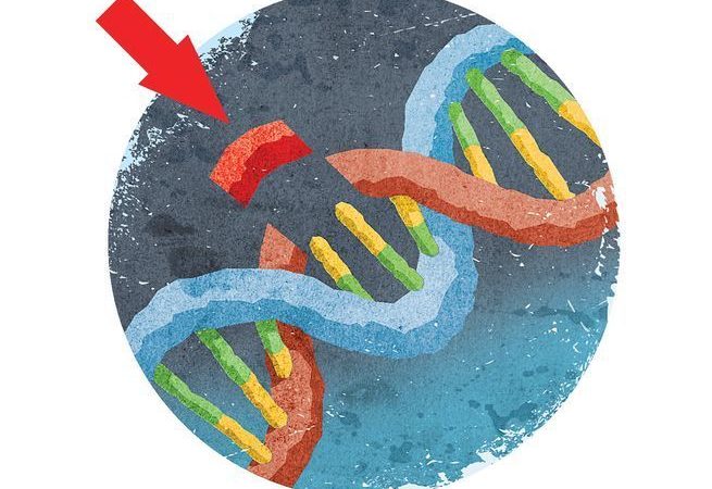 The first genetically engineered humans might not have their DNA tweaked at all