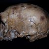 Ancient Hominin Skull From China Suggests Humans Didn’t Evolve Just From African Ancestors