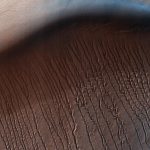 Sinuous Gullies Snake Down Sand Dune on Mars (Photo)
