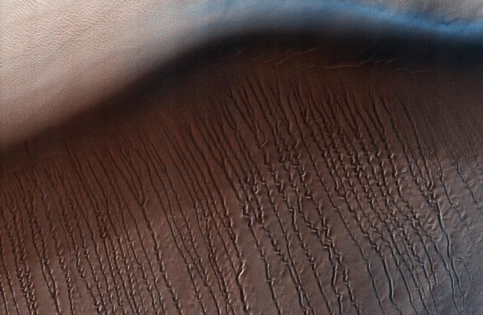 Sinuous Gullies Snake Down Sand Dune on Mars (Photo)