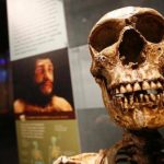Skull found in China could re-write ‘out of Africa’ theory of human evolution