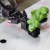 The Hydroponic, Robotic Future of Farming in Greenhouses