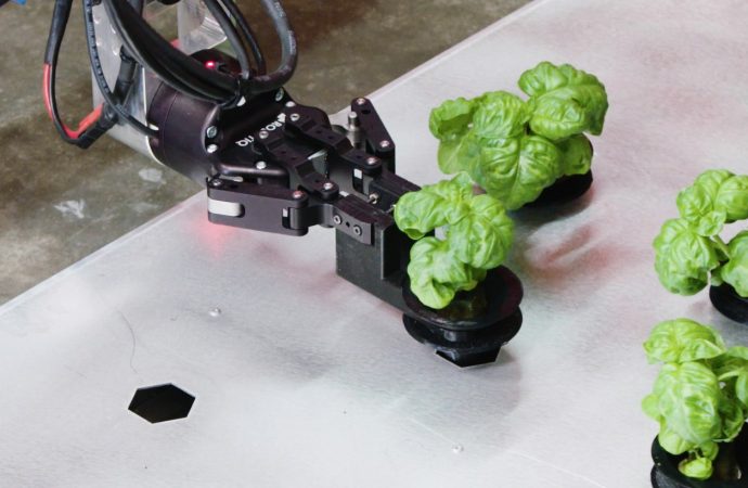 The Hydroponic, Robotic Future of Farming in Greenhouses