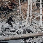 Why the Patterson-Gimlin Bigfoot Film Should Concern Scholars of Human Origins
