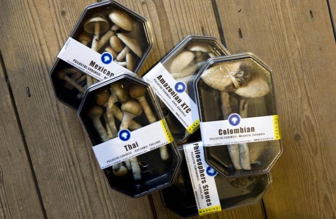 Eating magic mushrooms can treat depression, study finds