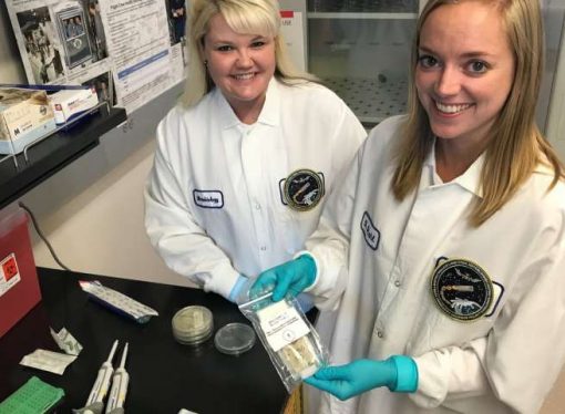 Genes in Space-3 successfully identifies unknown microbes in space
