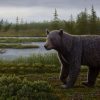 High Arctic fossils reveal ancient bear’s weakness for sweets