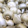 Mushrooms are full of antioxidants that may have antiaging potential