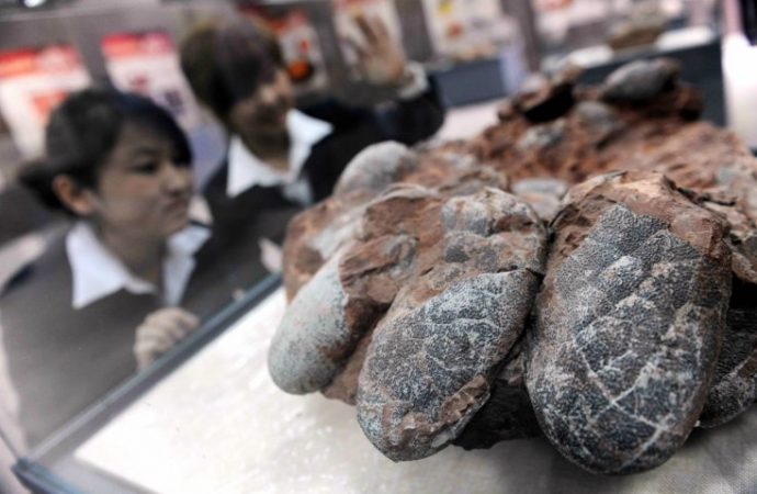 130 million-year-old nest of perfectly preserved dinosaur eggs discovered in China