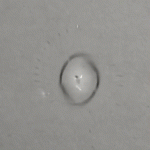 Even Chemists Are Baffled by This GIF of a Droplet Spiraling to Its Doom