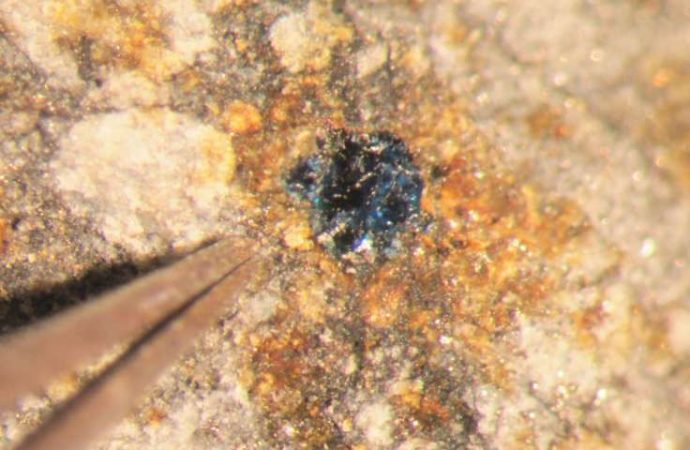 Ingredients for life revealed in meteorites that fell to Earth