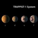 TRAPPIST-1 system planets potentially habitable