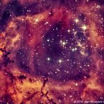 A Valentine ‘Rose’: Superhot Stars Glow in the Rosette Nebula’s Heart